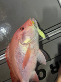 Snapper and Red Emperor Glow Jigs